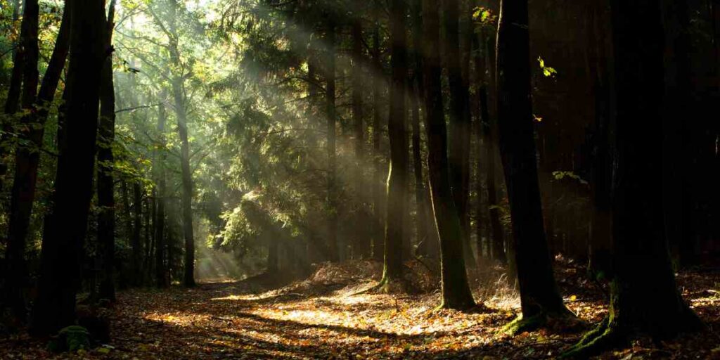 STEP3「改善策と計画」を考える方法